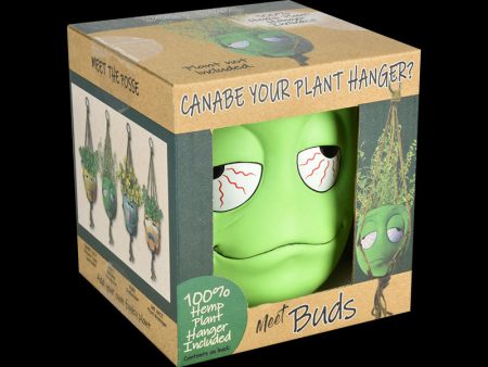 Best Buds Hanging Flower Pot Online Sale